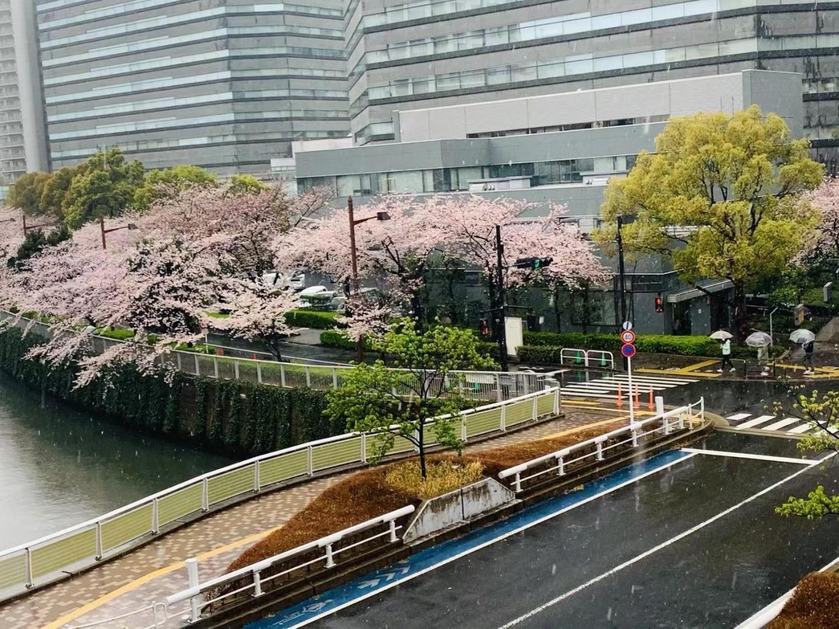 品川東五反田駅徒歩5分の最上階バルコニー付き贅沢体験 Apartment Токио Екстериор снимка